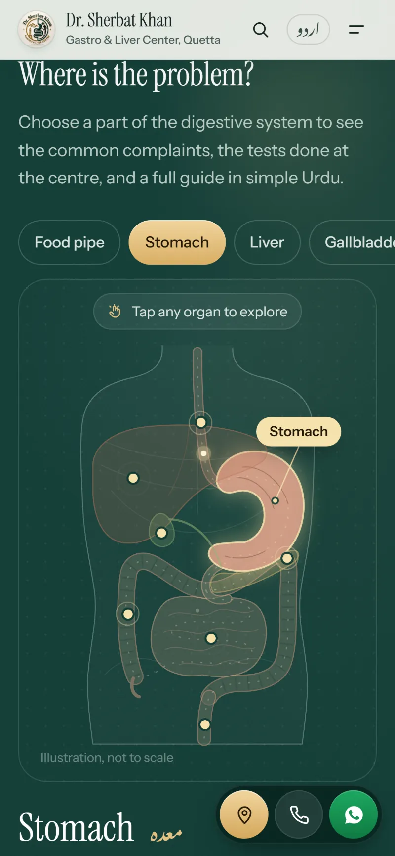 Dr. Sherbat Khan website — body map on a phone, with the three quick-action buttons in the corner